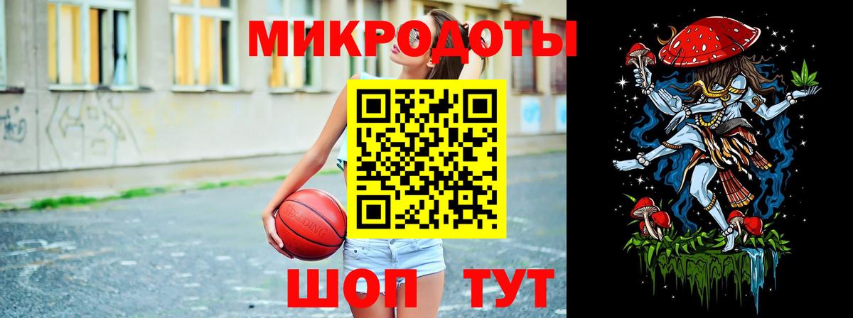 Псилоцибиновые грибы Psilocybe Энгельс