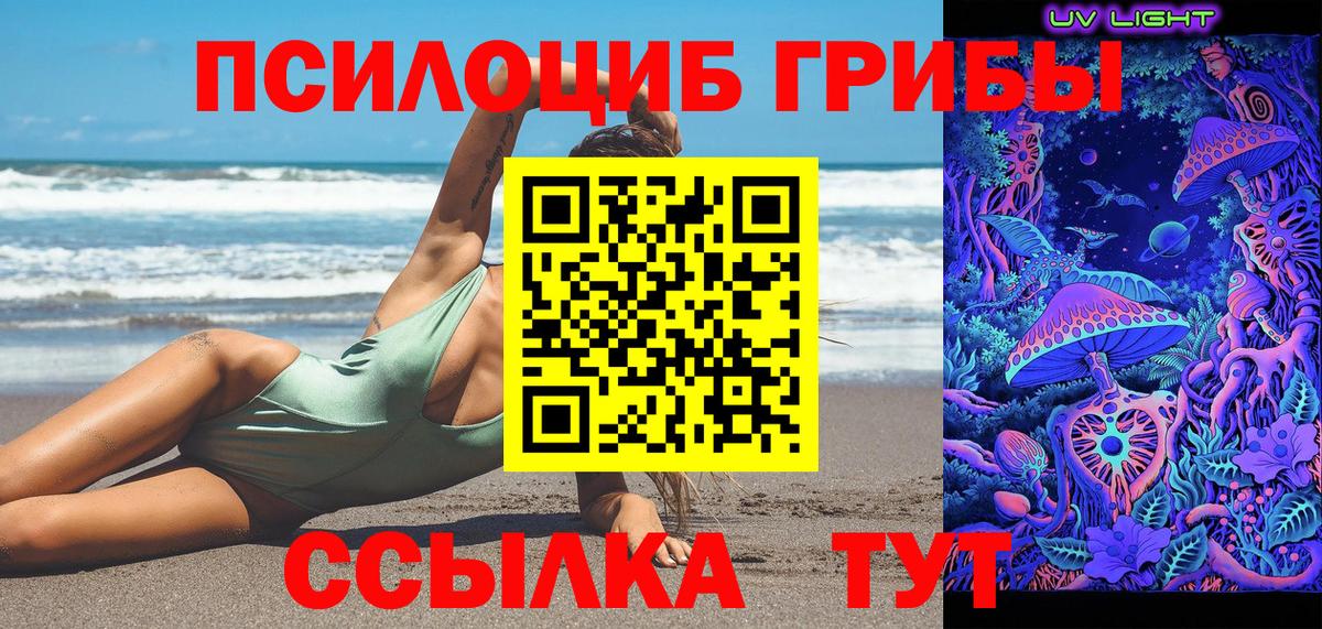 Энгельс  Псилоцибиновые грибы Cubensis  Псилоцибиновые грибы мухоморы  Вход с VPN 